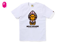 PASTEL COLOR CAMO MILO SHARK FZH TEE