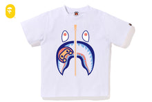 COLORS MILO SHARK TEE