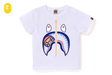 COLORS MILO SHARK TEE
