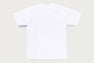 ABC CAMO COLLEGE MILO TEE