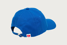 APEE HEART LOGO CAMO CAP #2