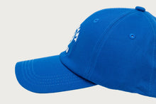 APEE HEART LOGO CAMO CAP #2