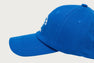 APEE HEART LOGO CAMO CAP #2