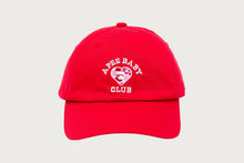 APEE HEART LOGO CAMO CAP #2
