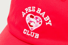 APEE HEART LOGO CAMO CAP #2