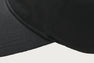 APEE LOGO CAP #1