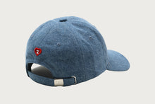 APEE LOGO CAP #2