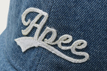 APEE LOGO CAP #2