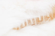 APEE HEAT CLAW HAIR CLIP