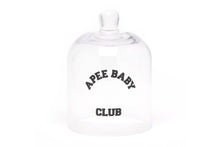 VELVET PETALS SCENTED DIFFUSER