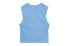 【 APEE X ALPHA 】INDUSTRIES VEST