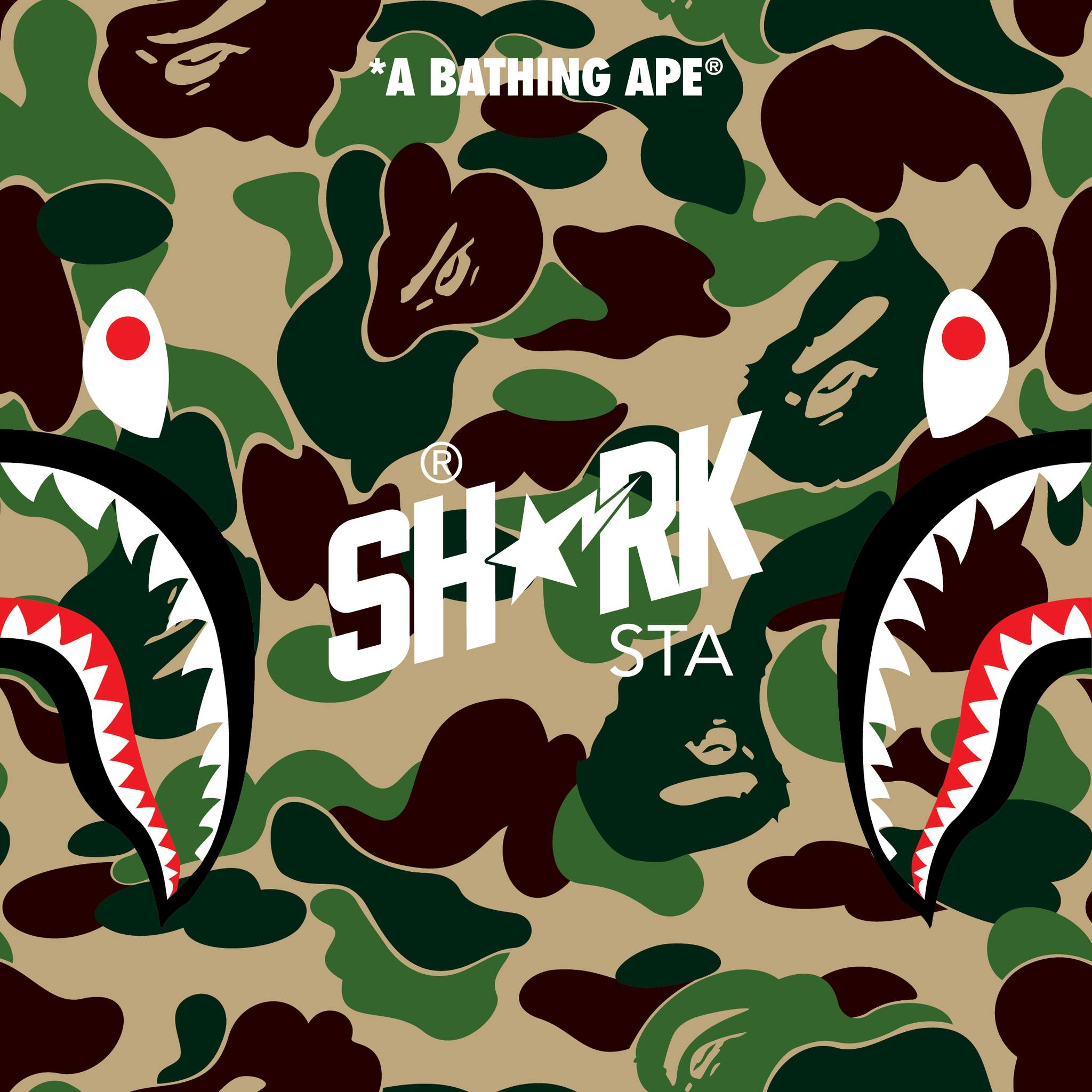 SHARK 20TH ANNIVERSARY