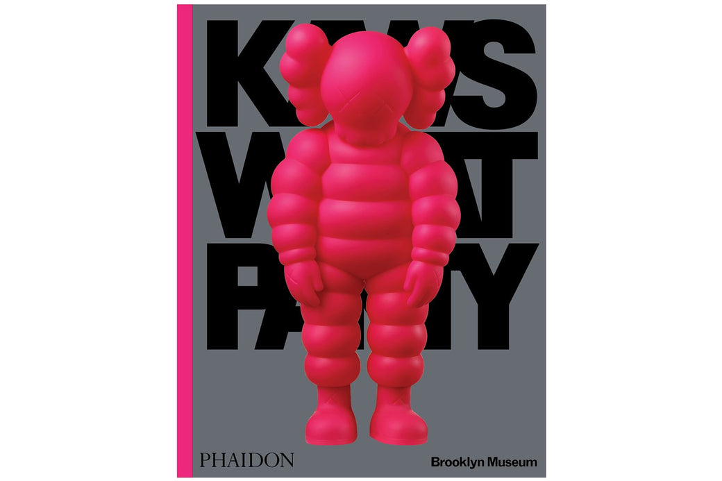KAWS WHAT PARTY PINKバイイー