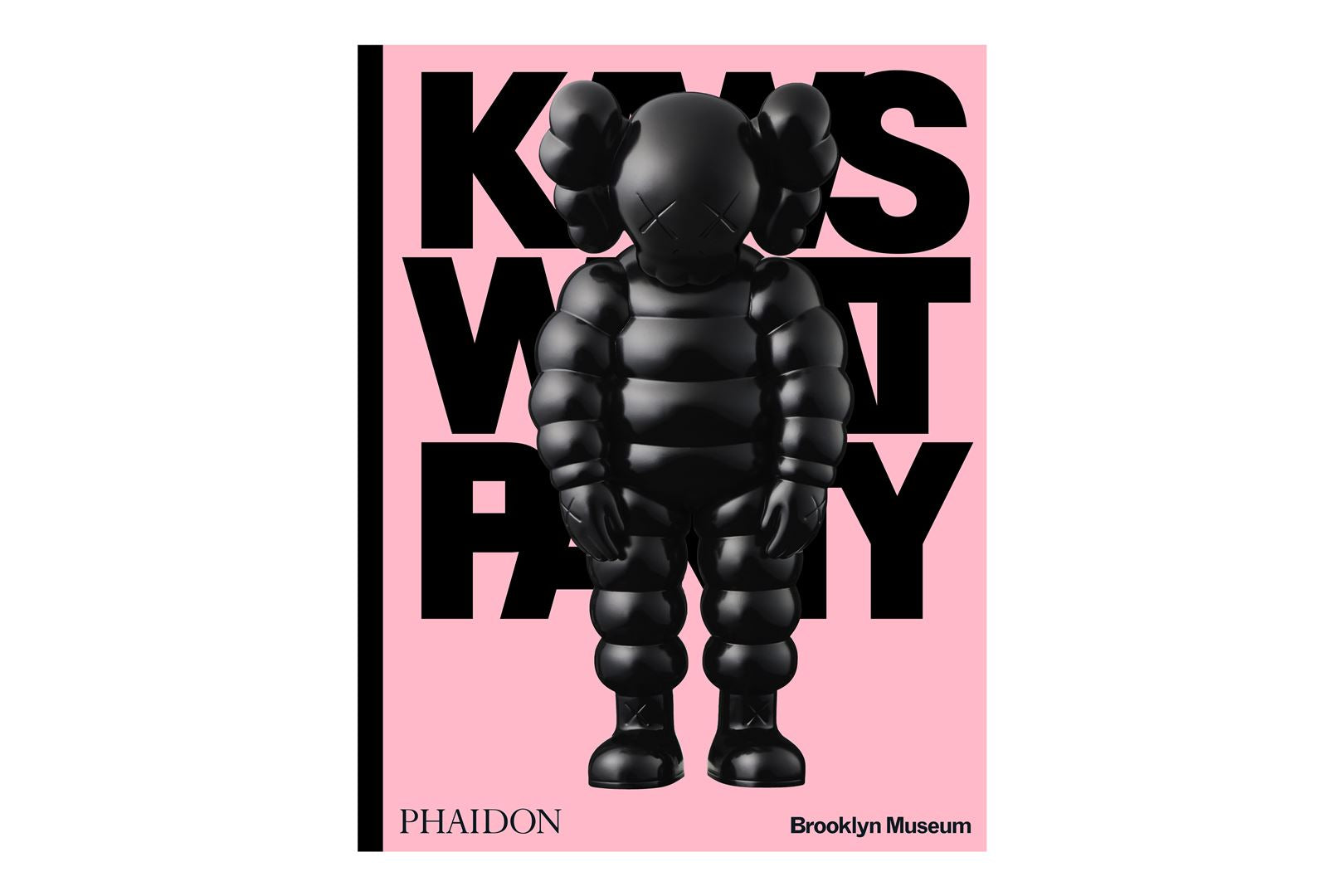 KAWS WHAT PARTY