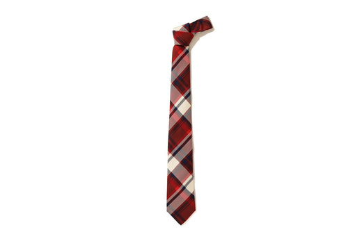 MR.BATHING APE BAPE CHECK TIE
